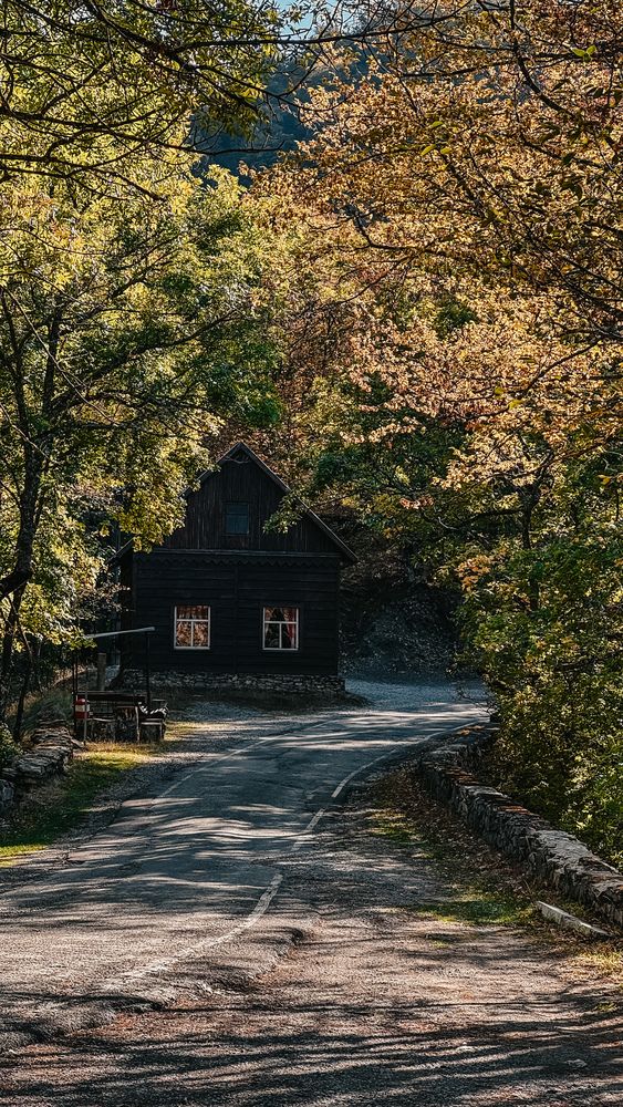 Photograph by Екатерина Абоян