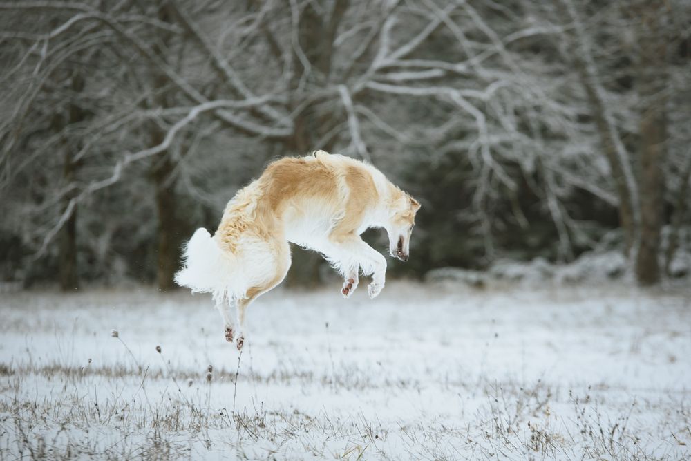 Photograph by Кудлай Яна