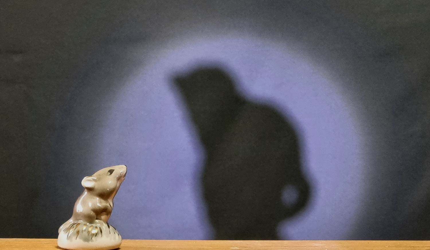 Кого боится мышка,