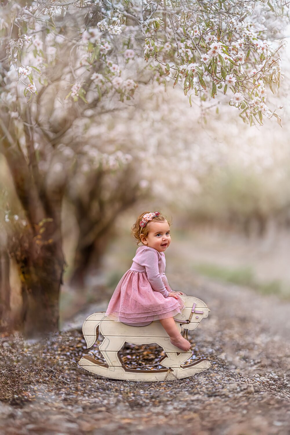 Photo #13478789