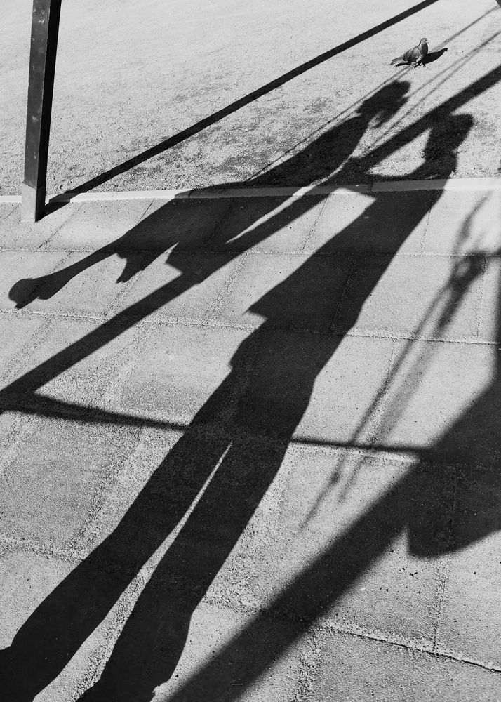 Photograph by Дьяченко Алёна