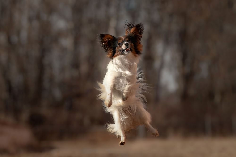 Photograph by Алена Ковалёва