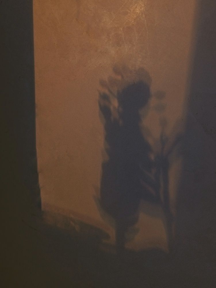 Photograph by Ольга Юминова