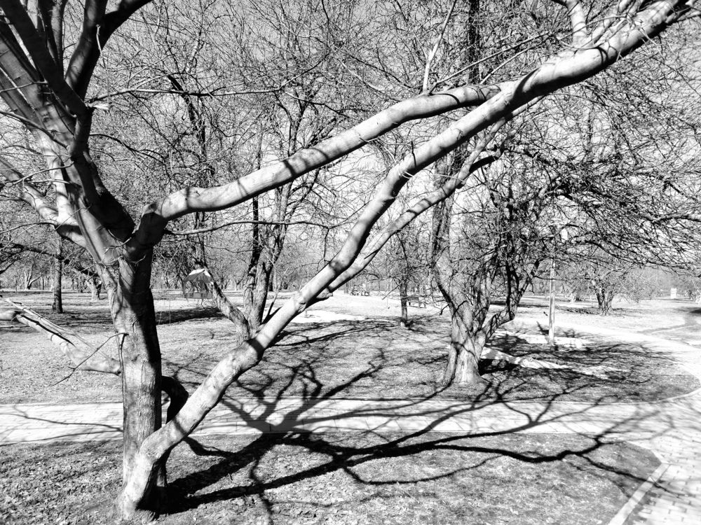 Photograph by Анастасия Туркина