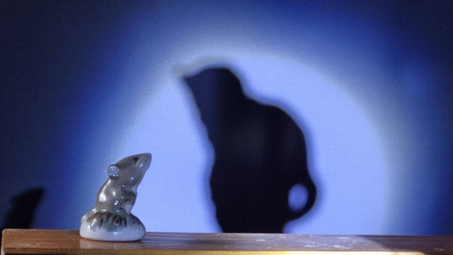 Фотография #13479033