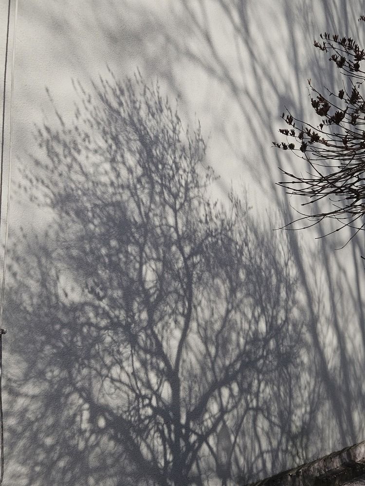 Photograph by Наталья Тополевская