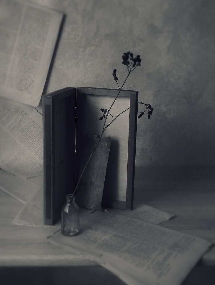 Фотография #13479349