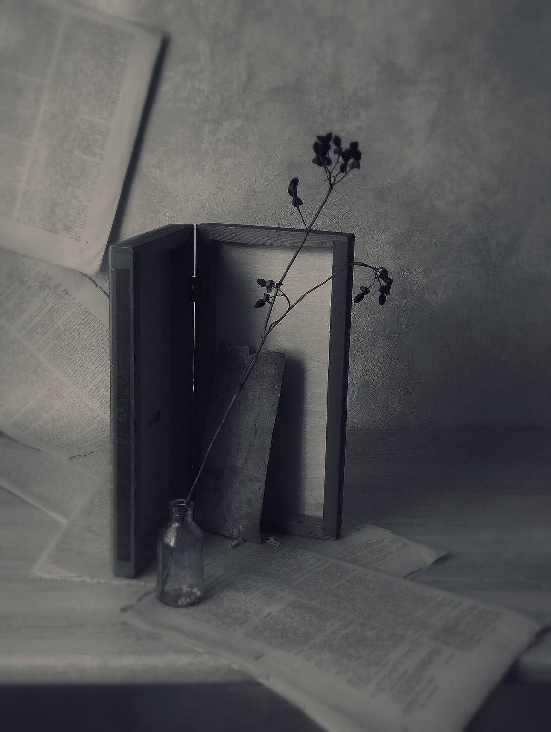 Фотография #13479349