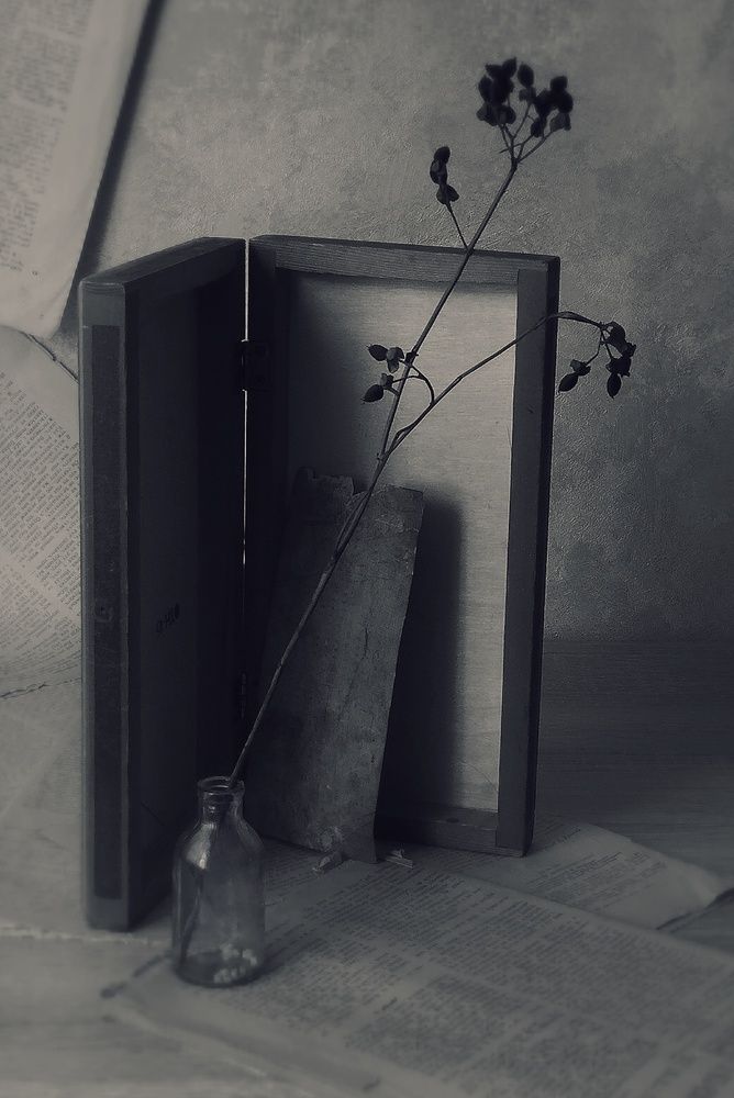 Фотография #13479376