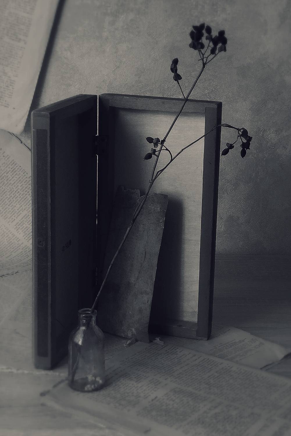 Фотография #13479376