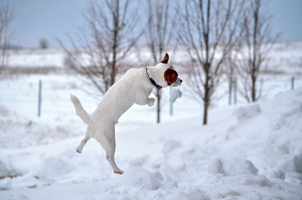Photograph by Ирина Ненашева