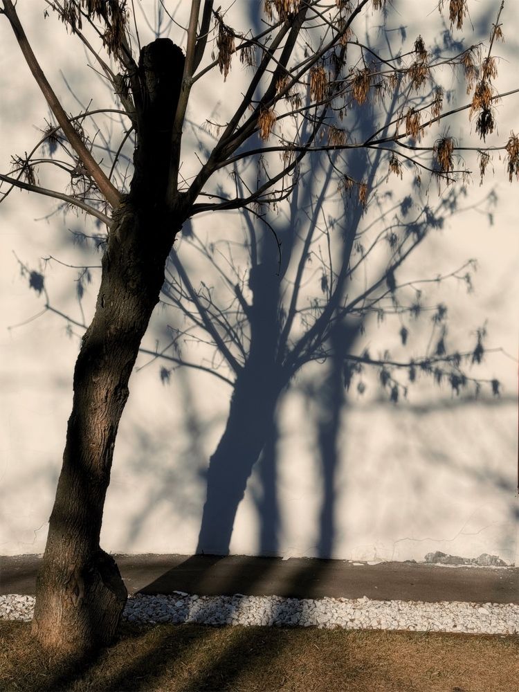 Photograph by Дарья Андреева