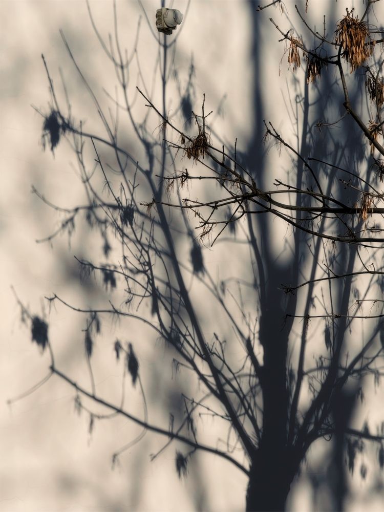 Photograph by Дарья Андреева