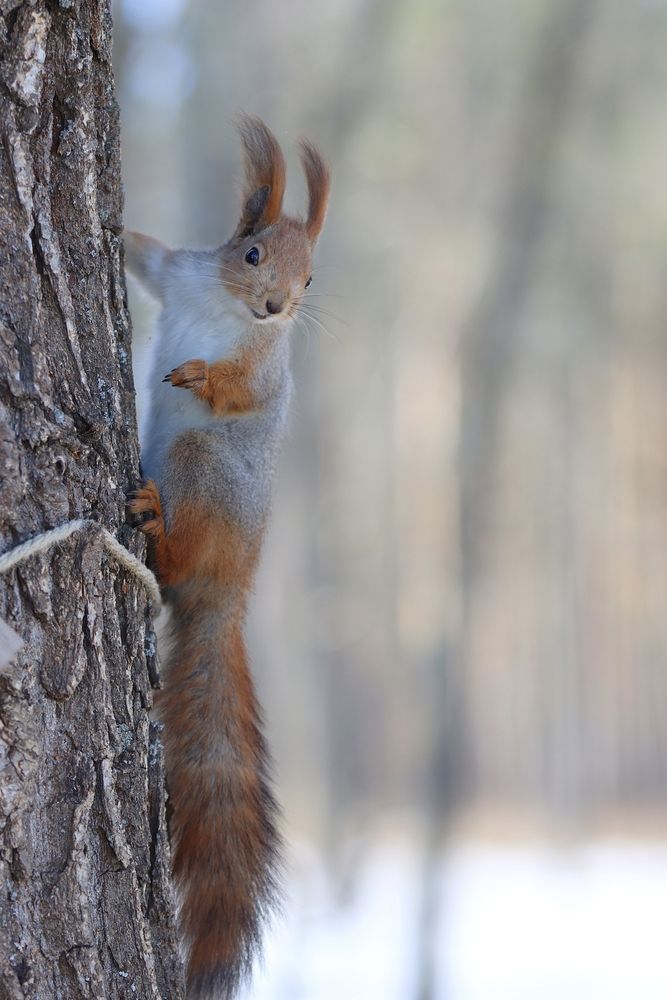 Photograph by Мария Толкачёва