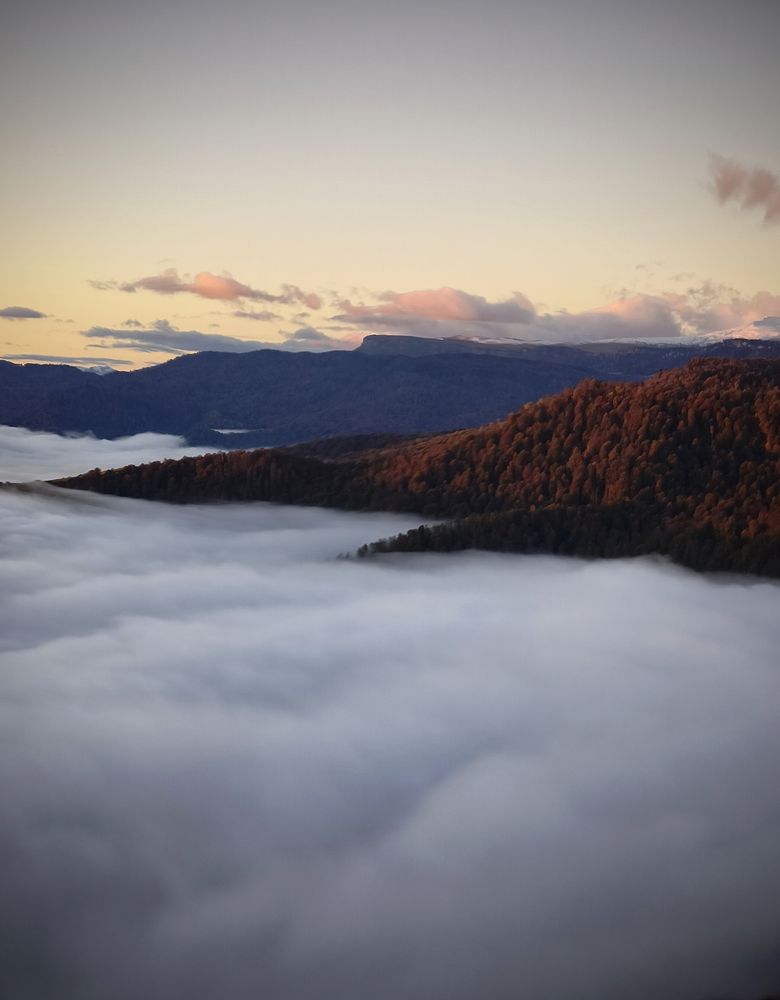 Photograph by Полина Сульженко