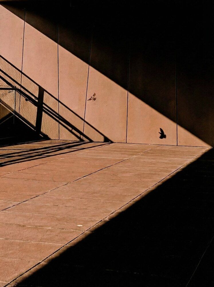 Photograph by Ангелина
