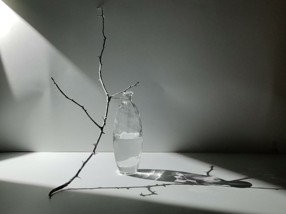 Photograph by Зыкова Кристина