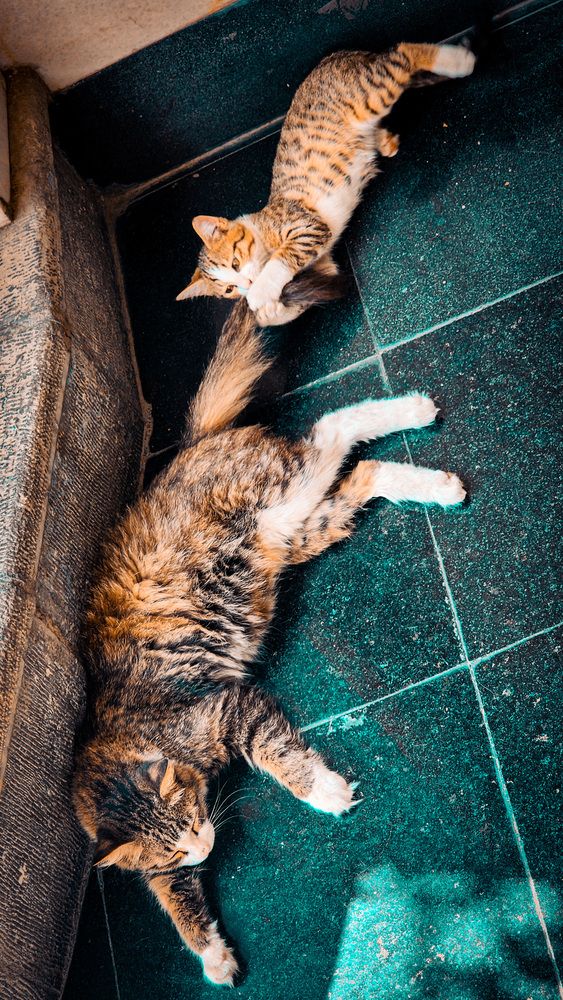 Photograph by Parsa Mohammadinejad