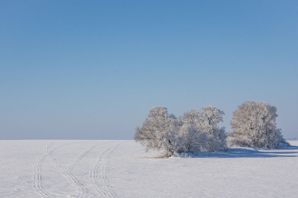 Утро. Поле. Снег.