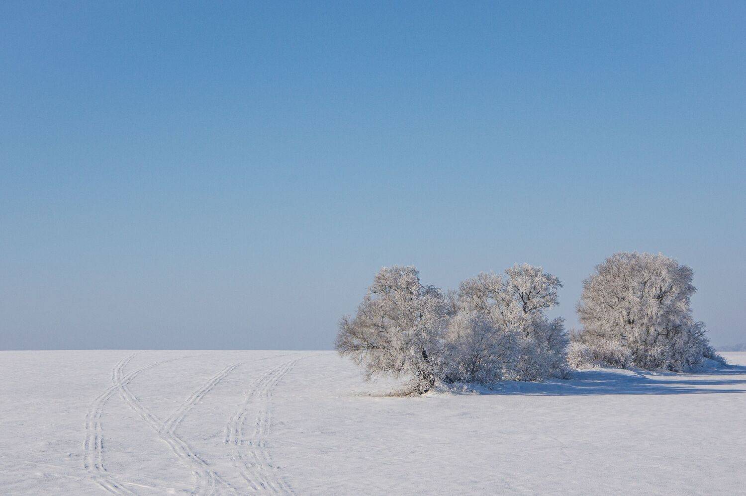 Утро. Поле. Снег.