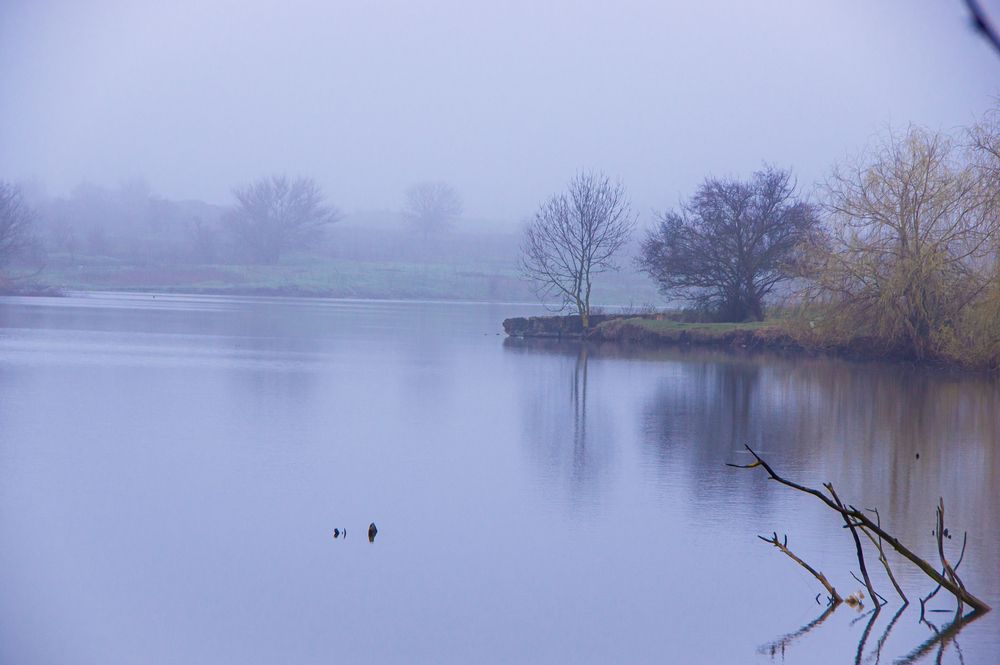 Утро. Туман. Пруд.