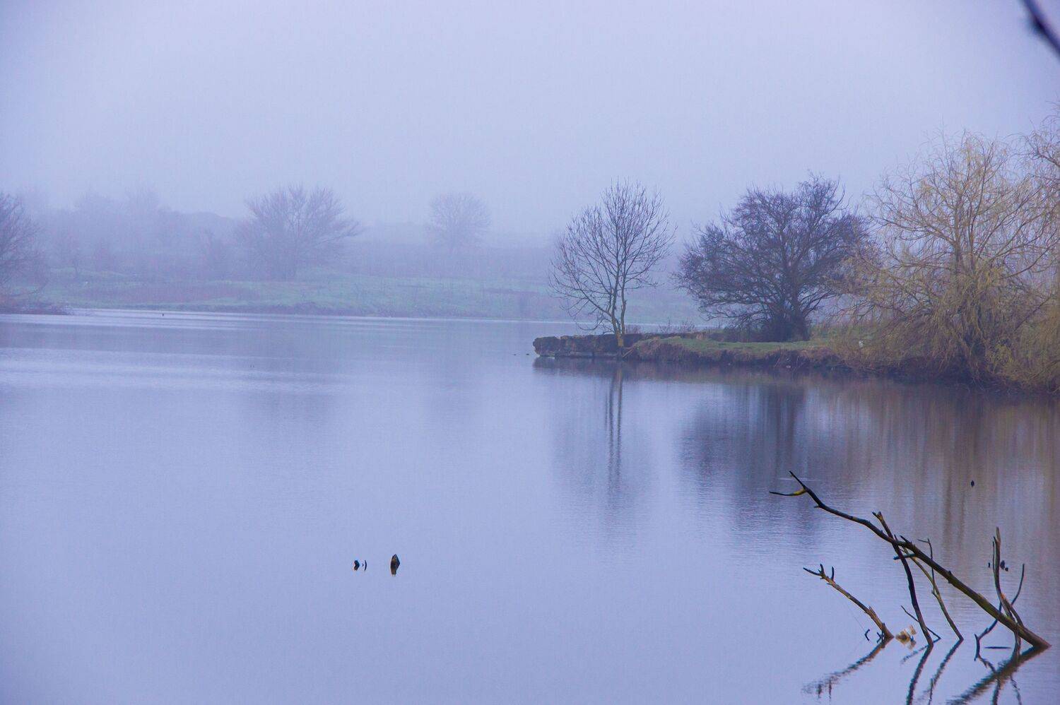 Утро. Туман. Пруд.