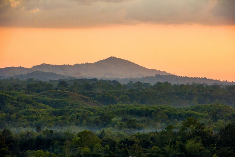 Photograph by Uthso Bordhan