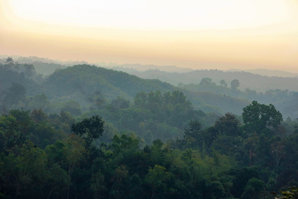 Photograph by Uthso Bordhan