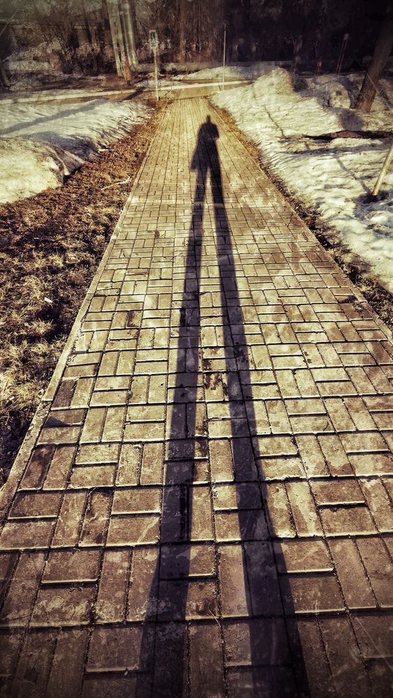 Во весь рост