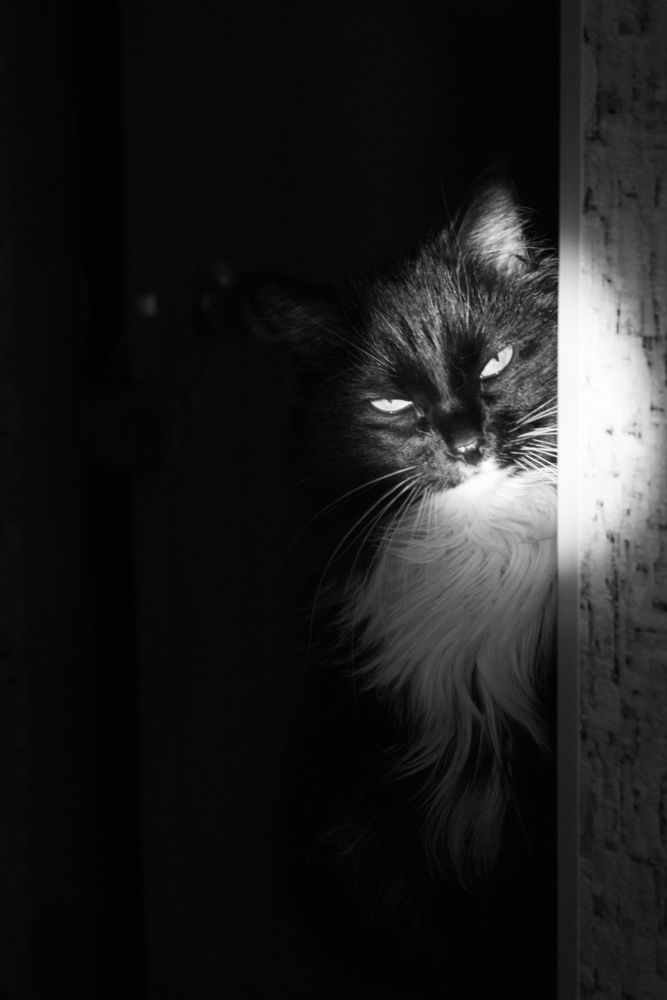 Photograph by Анастасия Миронова