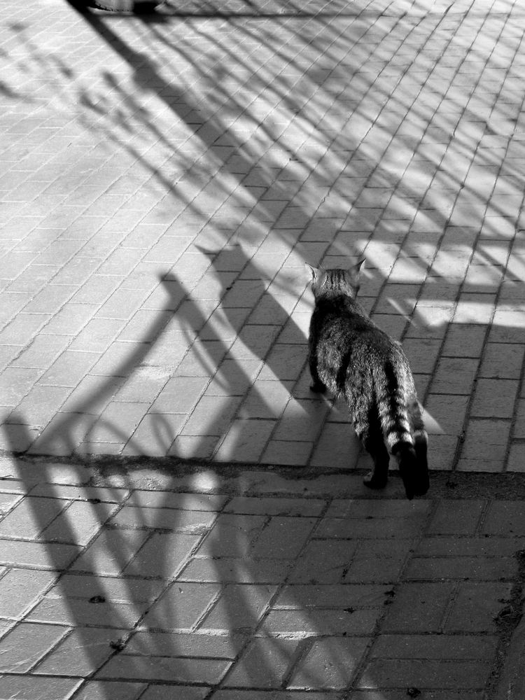 Photograph by Анастасия Миронова