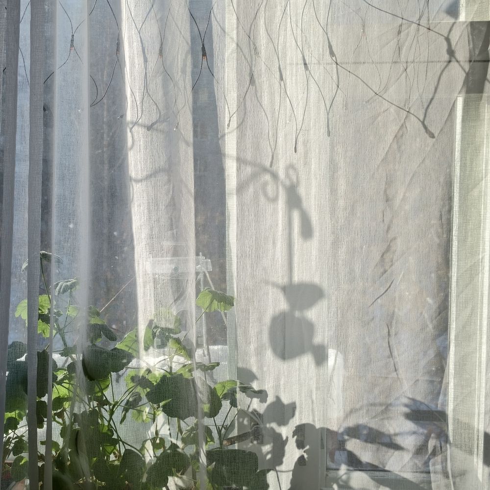 Photograph by Дмитрий Кондратьев