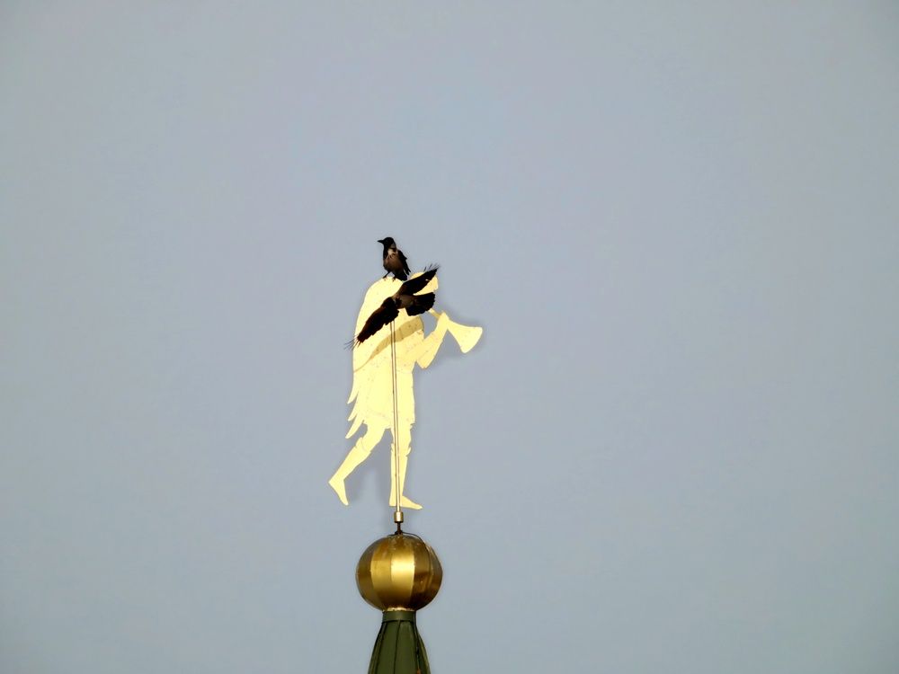 Photograph by Александр Шаварин
