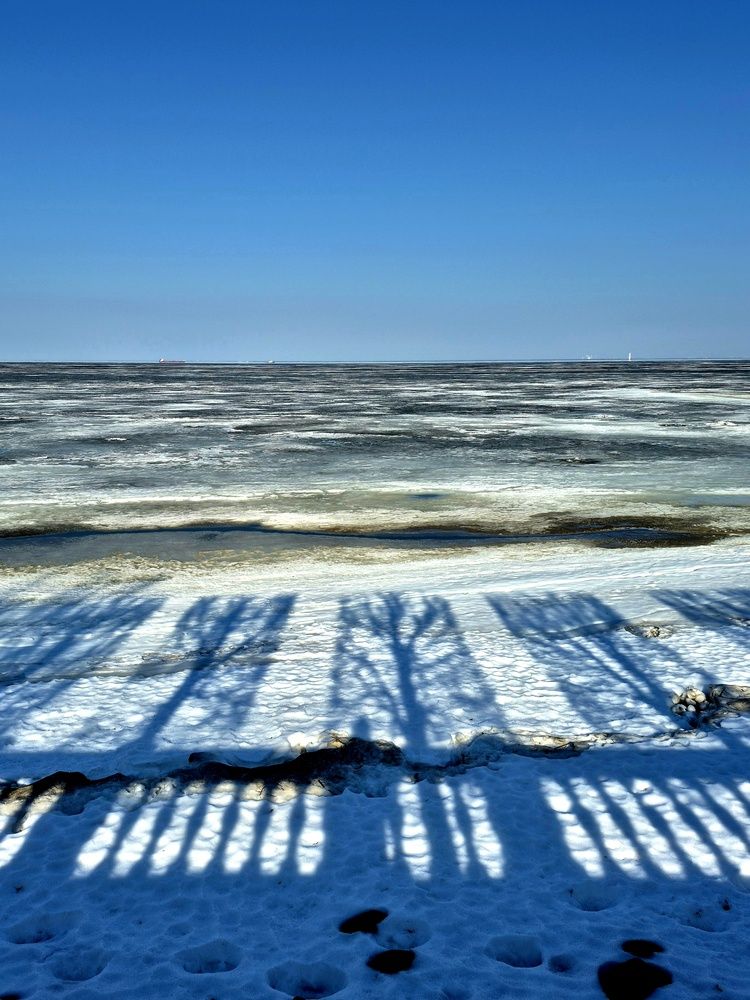Photograph by Наталья Бруёк