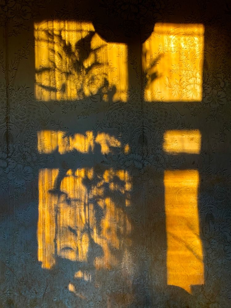 Photograph by Ионова Татьяна