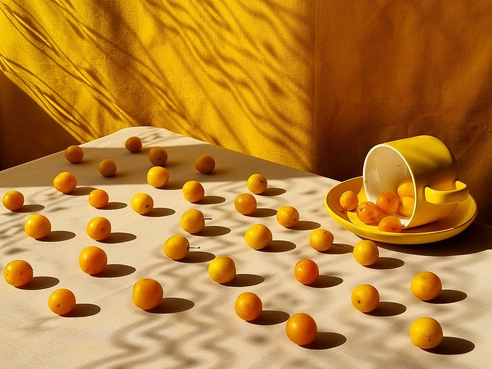 Photograph by Галина Гельфман