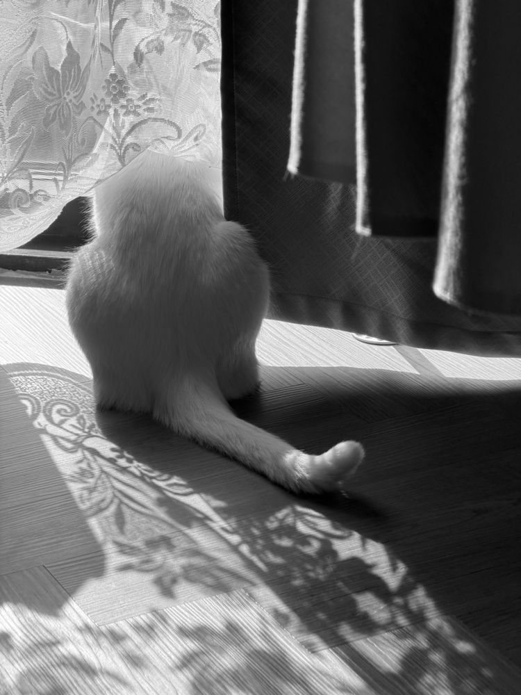 Photograph by Groznetskaya
