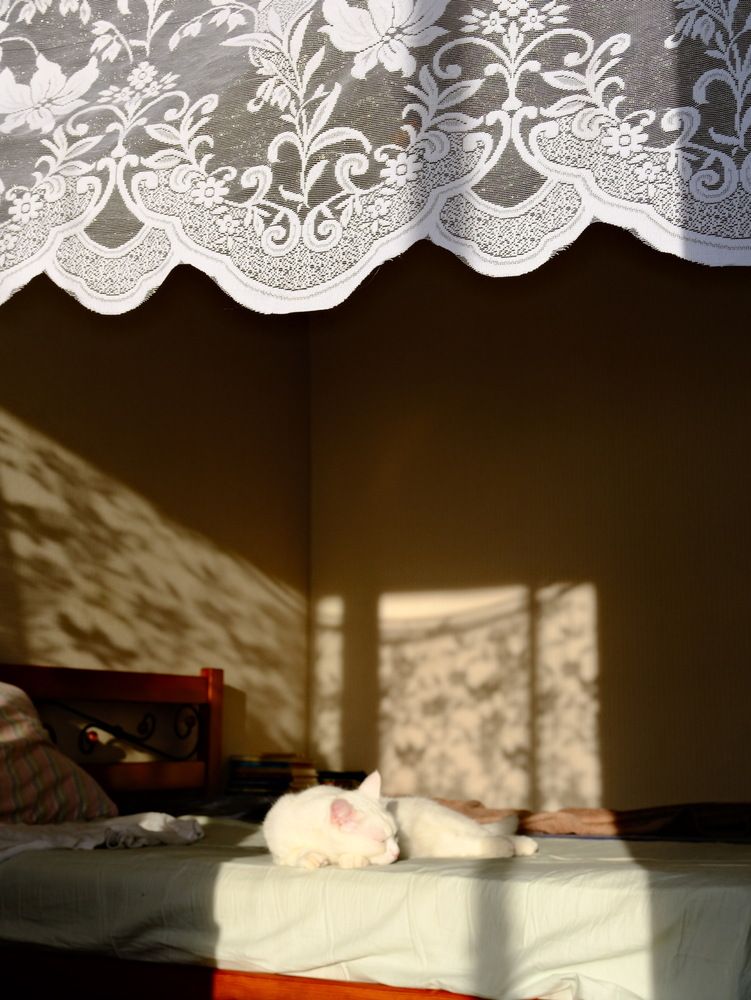 Photograph by Groznetskaya