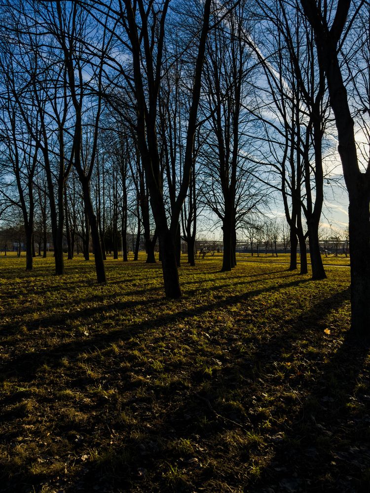 Photograph by Ася Жгенти
