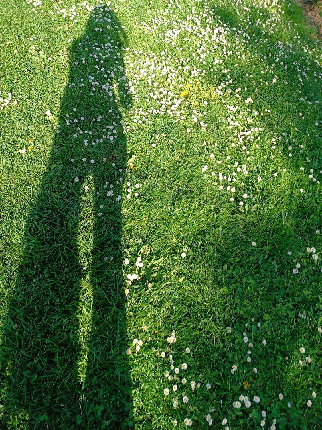 to look with your eyes