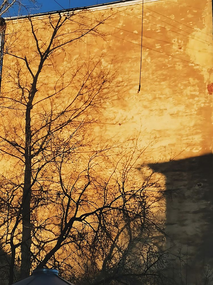 Photograph by Наталья Колбина