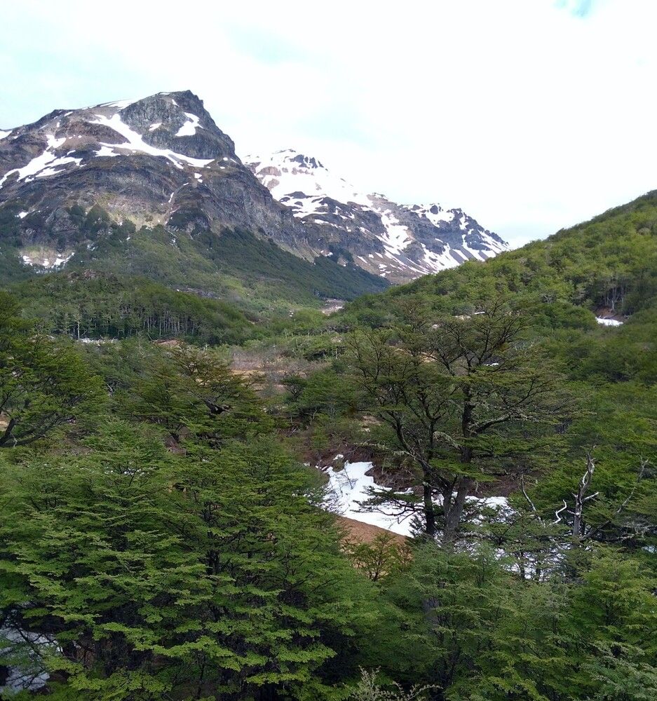 Cordillera de los Andes que va en descenso . Provincia isla Usuahia. Patagonia Argentina..