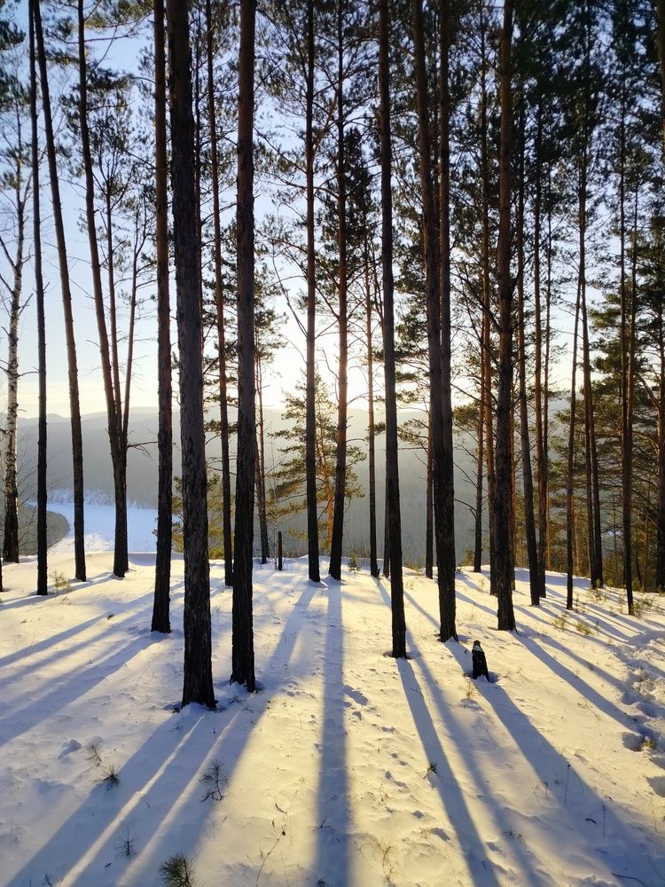 Photograph by Анастасия Горбачева