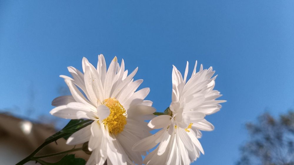 Photo #13480495