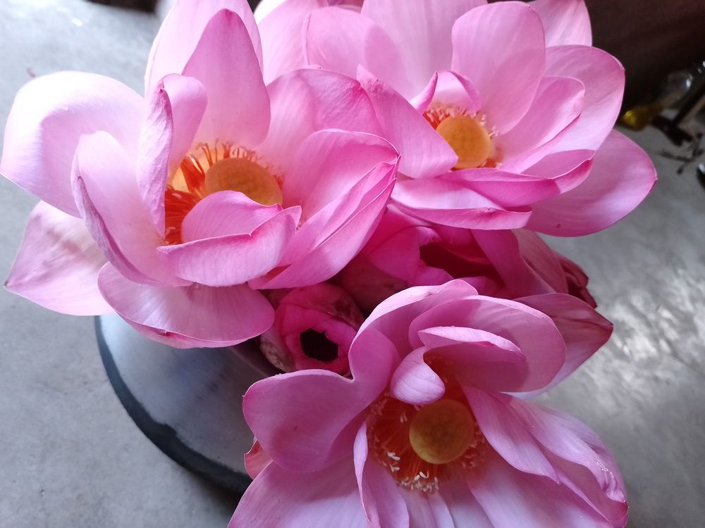 Photo #13480497