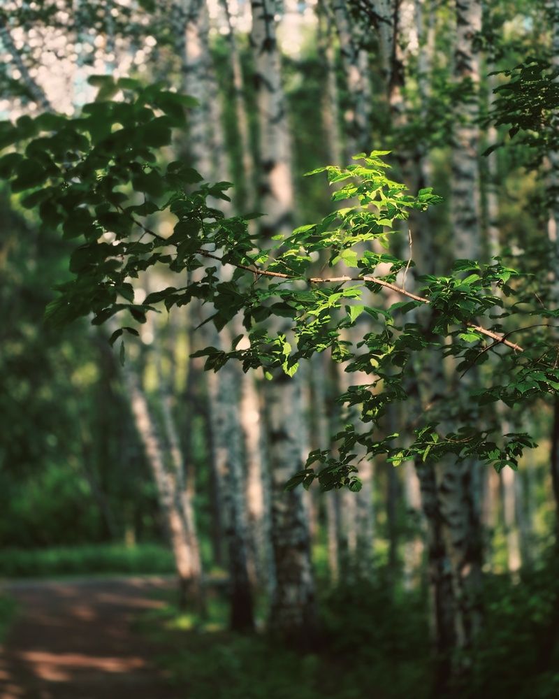 Photograph by Tatiana Pervukhina