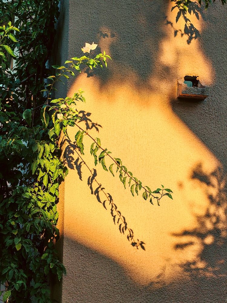 Photograph by Tatiana Pervukhina