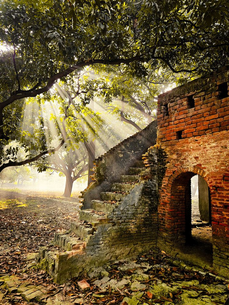 Old age home in the shadow