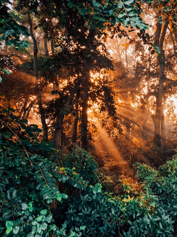 Photograph by Dhruv Jangid