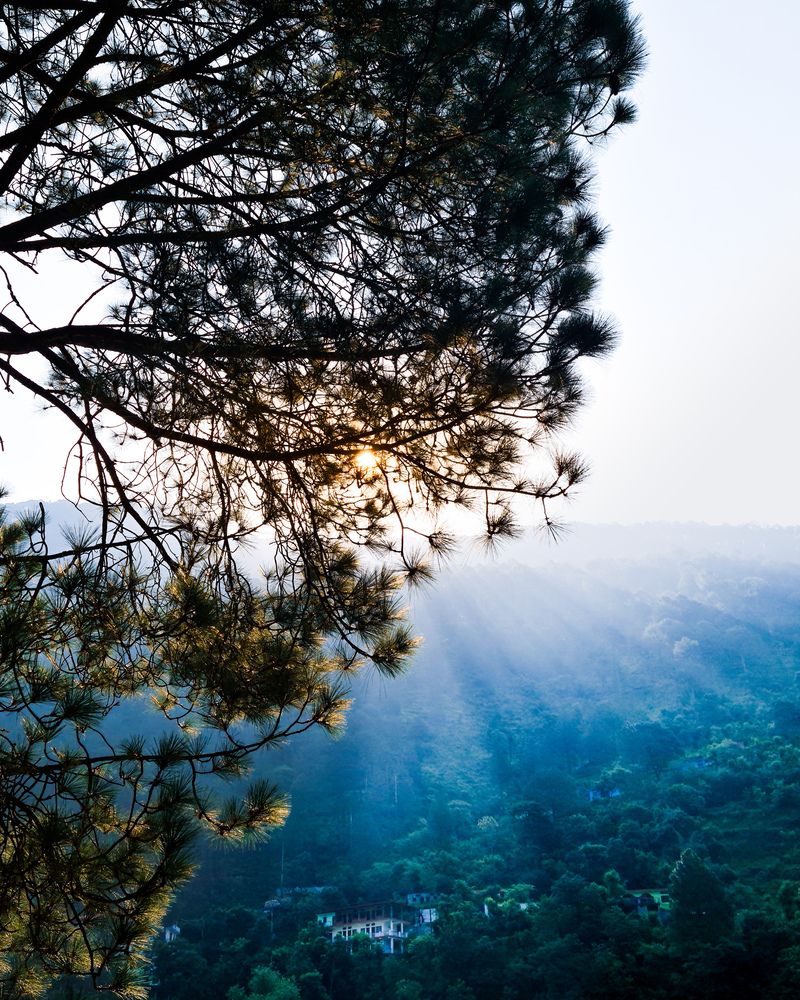 Photograph by Dhruv Jangid